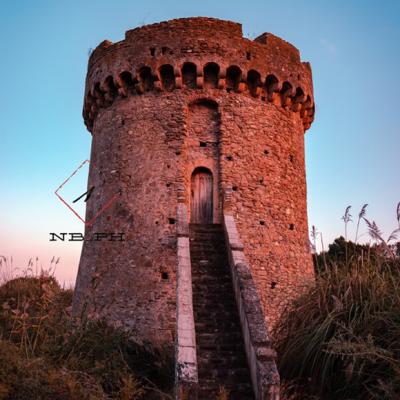 Torr 1235