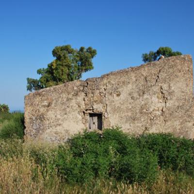 Dsc 0005 4li0ozro