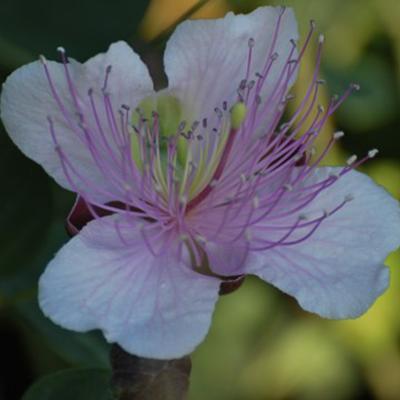 Dsc 0127
