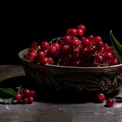 Ribes