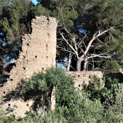Ruderi Di Tripaola